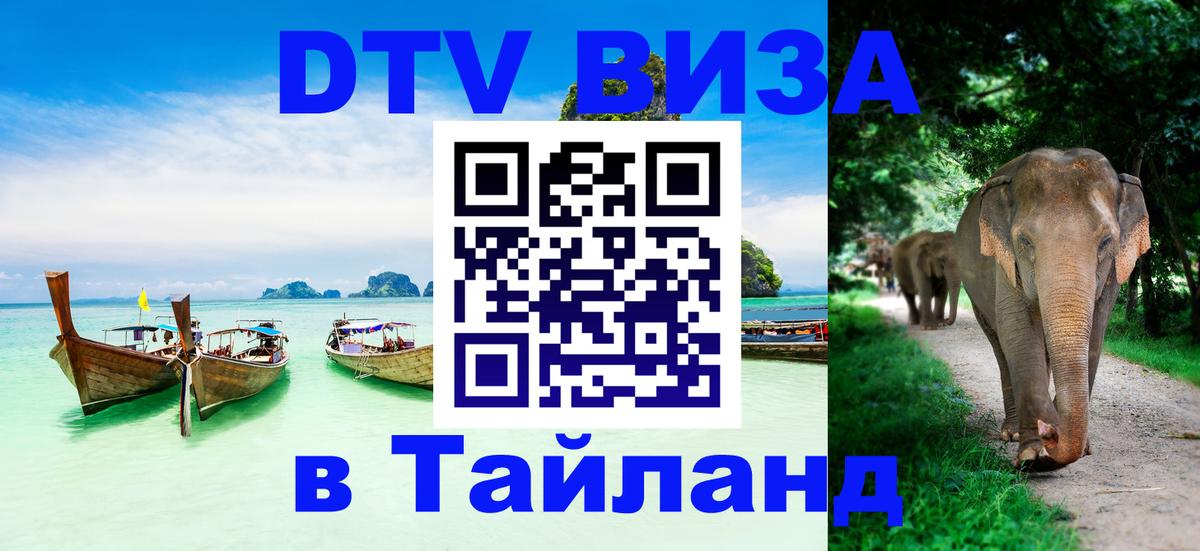 Сколько стоит DTV виза — актуальные цены, оформление даже без документов - Нью-Дели  19.11.2025 